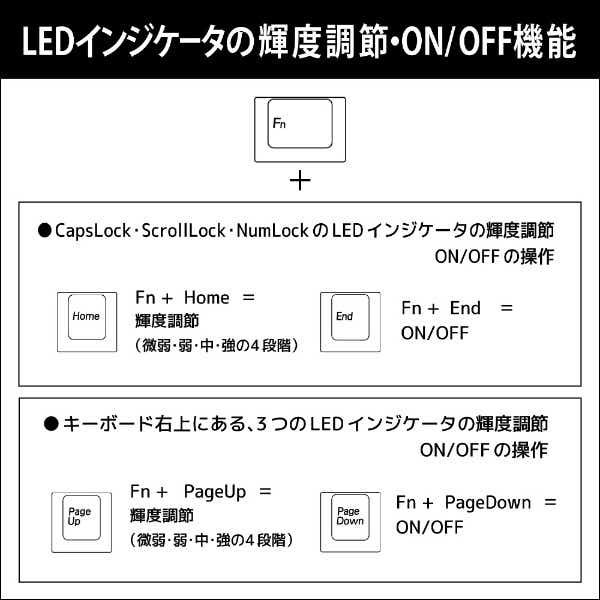 MaestroFL 英語配列 US 青軸 メカニカル フル キーボード USB-A / USB