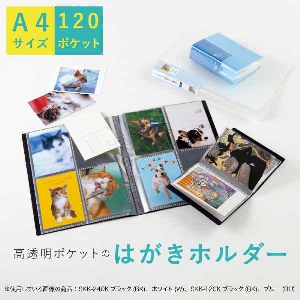 はがきホルダー（2段/120ポケット/240枚収納）高透明 A4-S（ホワイト