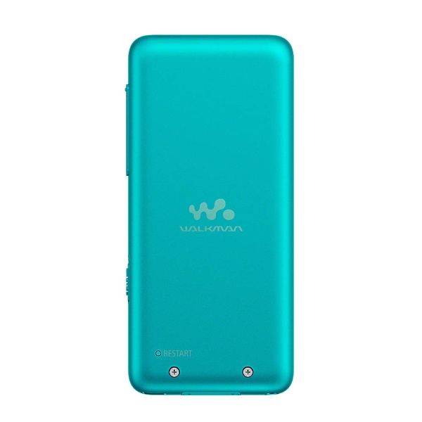 ウォークマンNW-S313 4GB