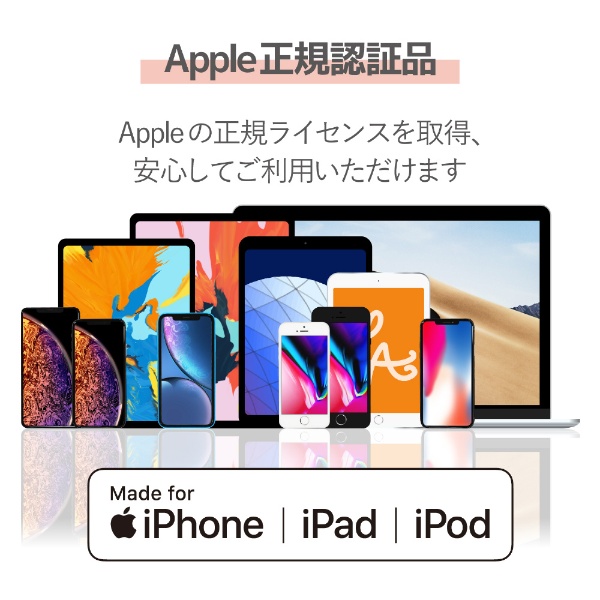 iPhone 充電ケーブル Type-C ライトニングケーブル 1m PD 対応 MFi認証