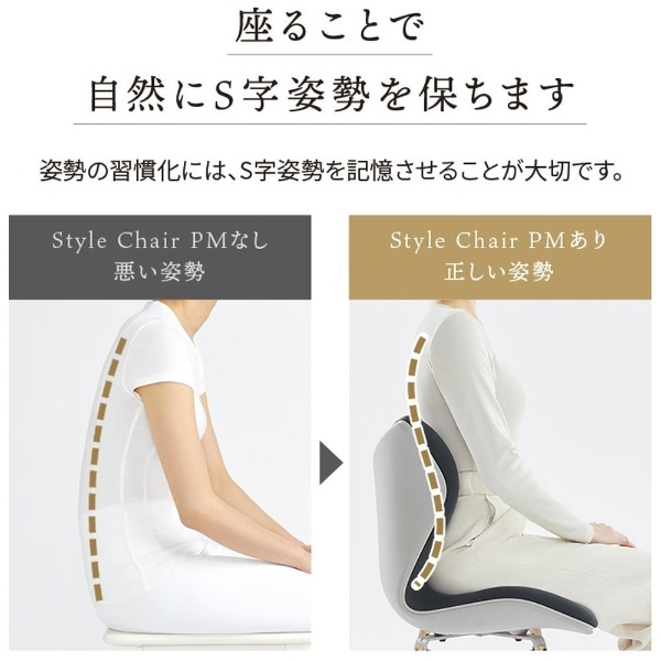 姿勢サポートシート Style Chair PM（スタイルチェア ピーエム