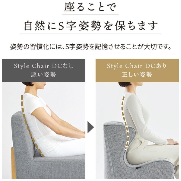 姿勢サポートシート Style Chair DC（スタイルチェア ディーシー