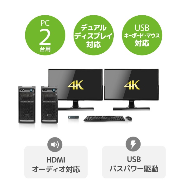 パソコン切替器 HDMI接続 (Mac/Windows11対応) RS-250UH2 [2入力 /2