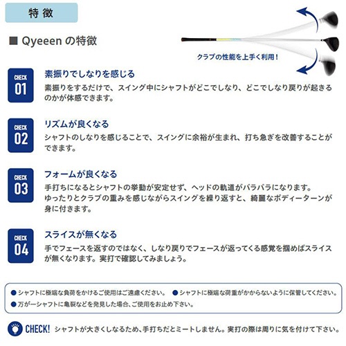 ドライバー型練習器 Teaching PRO III Qyeen キュイーーーン 10.5°45