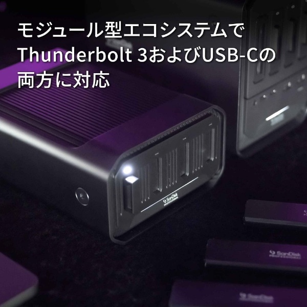 SDPM34F-0000-GBABD 外付けSSD Thunderbolt 3＋USB-C接続【別売 PRO