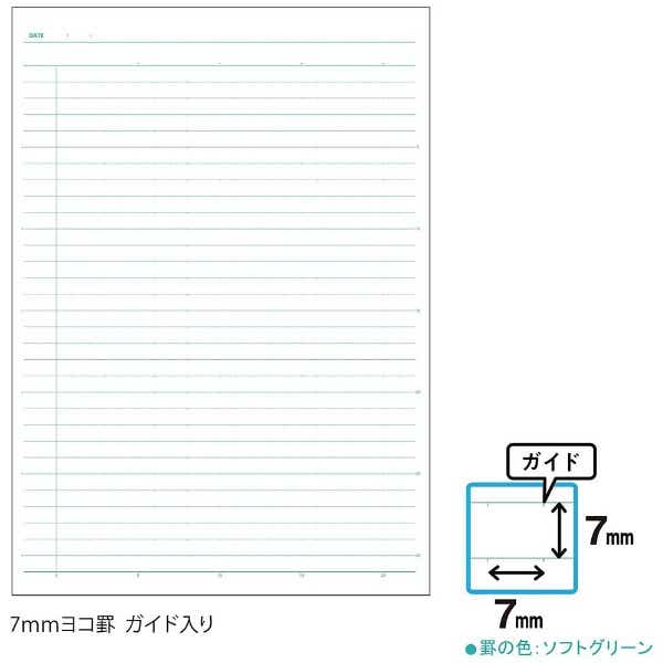 中学受験ＯＫノート 7mmヨコ罫 5冊組 セミB5 限定オリジナルチェック 