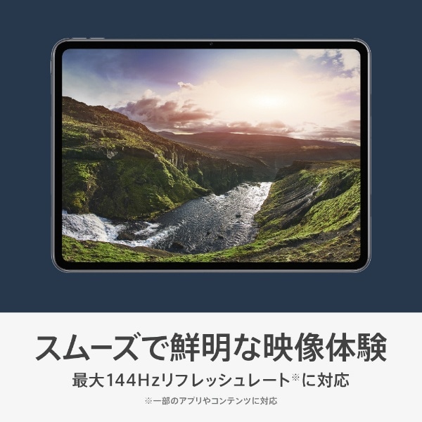 Androidタブレット 11.6型 OPPO Pad 2 (OPD2202 GY) グレー [Wi-Fi