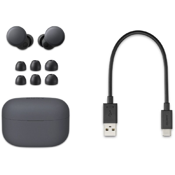 SONY】 LinkBuds S (WF-LS900N)用 充電ケースのみ - イヤフォン