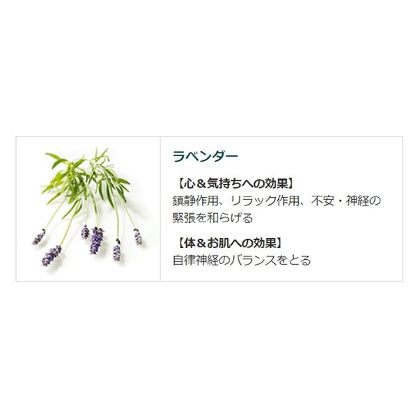 KNEIPP(クナイプ)】バスソルト ラベンダーの香り 40g〔入浴剤〕(ブルー): ビックカメラ | JRE POINTが「貯まる」「使える」JRE  MALL