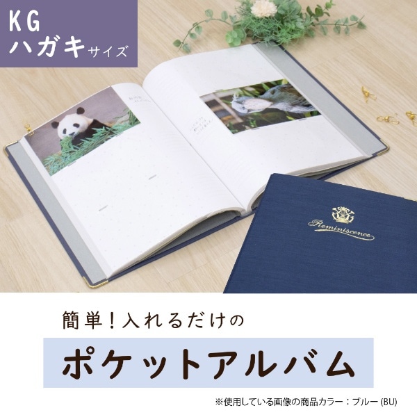 ポケットアルバム KG・ハガキサイズ246枚収容 白台紙 HARPER HOUSE