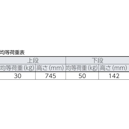 ＴＲＵＳＣＯ 軽量メッシュ台車 アミー 折りたたみ式２段型 ＡＭ－２Ａ