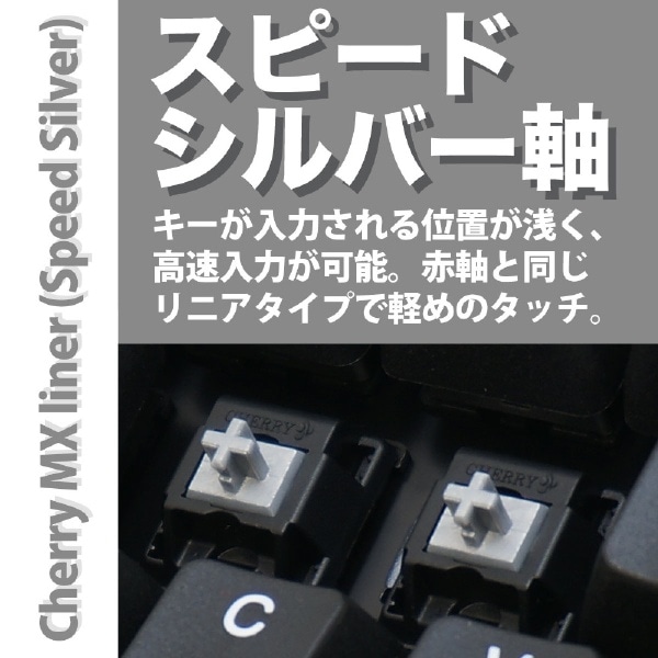 キーボード ProgresTouch RETRO TKL 黒 AS-KBPD87/LSBK [有線 /PS/2