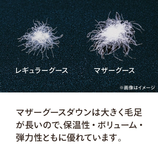 本掛け羽毛布団「生毛ふとん」 PM480 [ダブル(190×210cm) /冬用