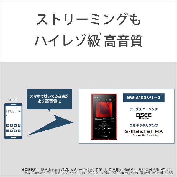 ウォークマンWALKMAN2019年モデル Aシリーズ ブルー NW-A106 [ハイレゾ