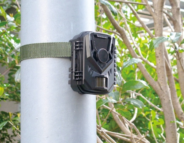乾電池センサーカメラ MOVE SHOT(AT1): ビックカメラ｜JRE MALL