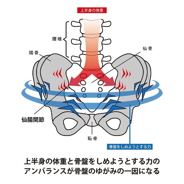 山田式 骨盤ストロングベルト M(ブラック): ビックカメラ｜JRE MALL