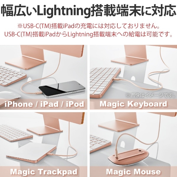 iPhone 充電ケーブル Type-C ライトニングケーブル 1m PD 対応 MFi認証