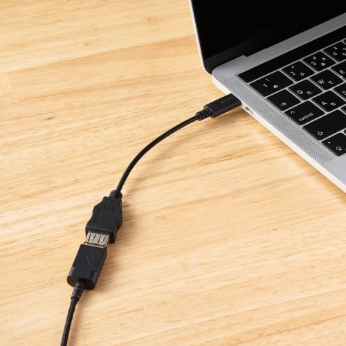 ヘッドセット ブラック HS-HP22UCBK [USB-C＋USB-A /両耳 /ヘッド