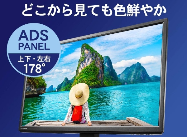 PCモニター ブラック LCD-AH241XDB-B [23.8型 /フルHD(1920×1080