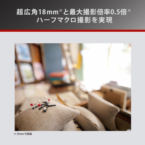 カメラレンズ LEICA DG SUMMILUX 9mm / F1.7 ASPH. H-X09 [マイクロ
