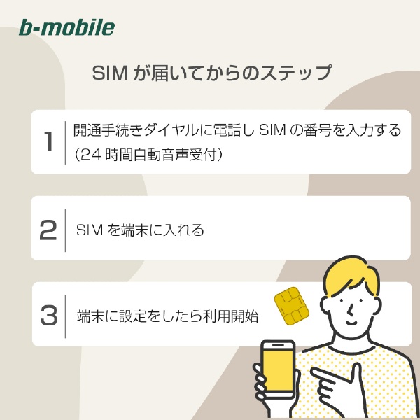 マルチカットSIM b-mobile 10GB×12ヶ月SIMパッケージ（ドコモ回線） b