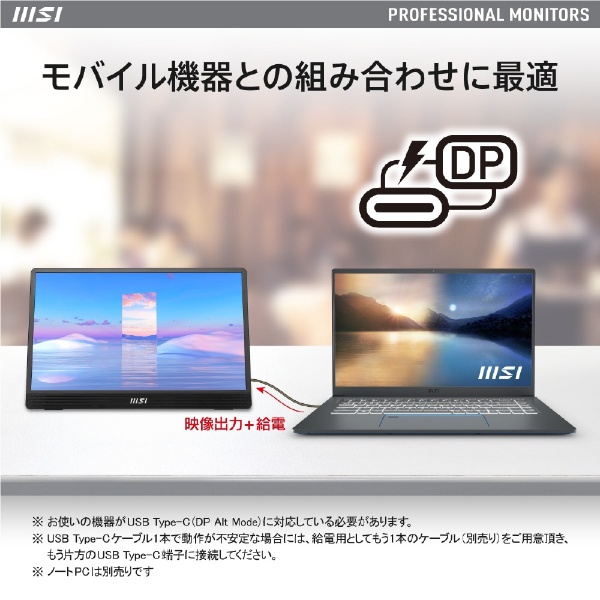 USB-C接続 PCモニター PRO MP161 PRO-MP161 [15.6型 /フルHD(1920×1080 