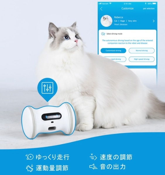 VARRAM PET FITNESS VRF1000(VRF1000): ビックカメラ｜JRE MALL