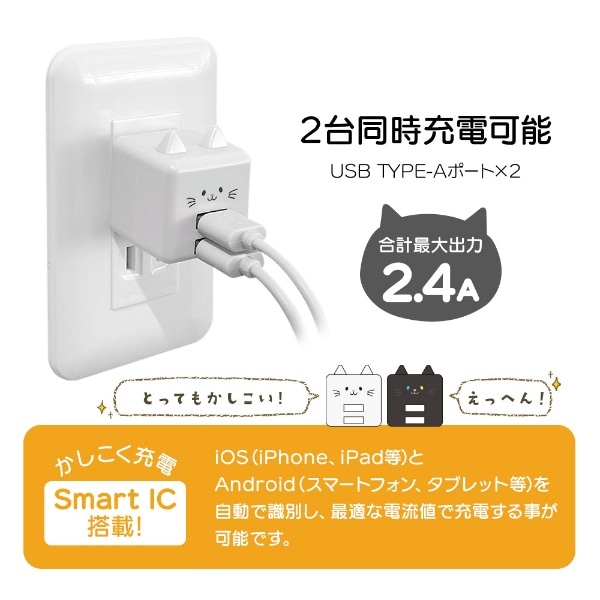 モバにゃｰ AC充電器 USB A×2ポート 2.4A いわお RAC2A2A02IWO(その他