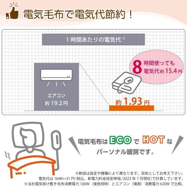 電気毛布 掛け 敷き フランネル ブラウン VWB102R-BM [セミダブル