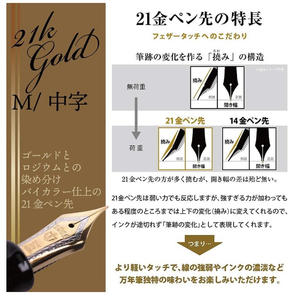 プロフェッショナルギア レアロ 吸入式万年筆 中字(M) ブラック 11