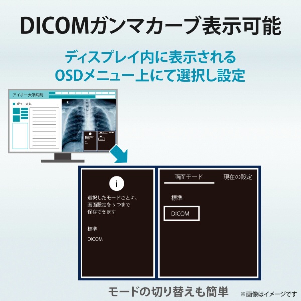 PCモニター 2MP医用画像参照用「MediCrysta」 ブラック LCD-MD241D