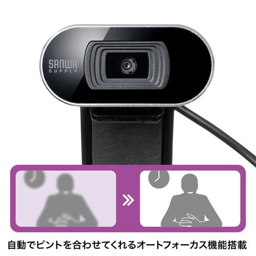 CMS-V45 ウェブカメラ マイク内蔵 シルバー [有線][CMSV45S](シルバー