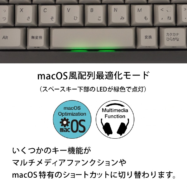 キーボード Maestro 2S(青軸)(Mac/Windows11対応) AS-KBM02/CGBA [有線