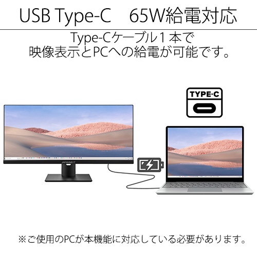 USB-C接続 PCモニター JN-IPS29WFHDR-C65W [29型 /UltraWide FHD(2560