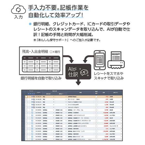 弥生会計 22 プロフェッショナル 2ユーザー - その他