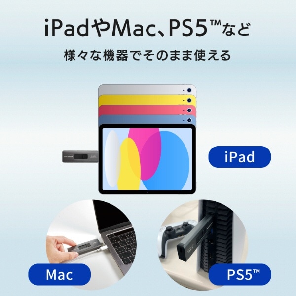 SSPE-USC2B 外付けSSD USB-C＋USB-A接続 スティックSSD(Chrome/Android