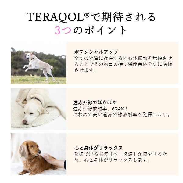 コロバニィ ペタプラス にゃんくるバンド（ちりめん） 猫・小型犬用