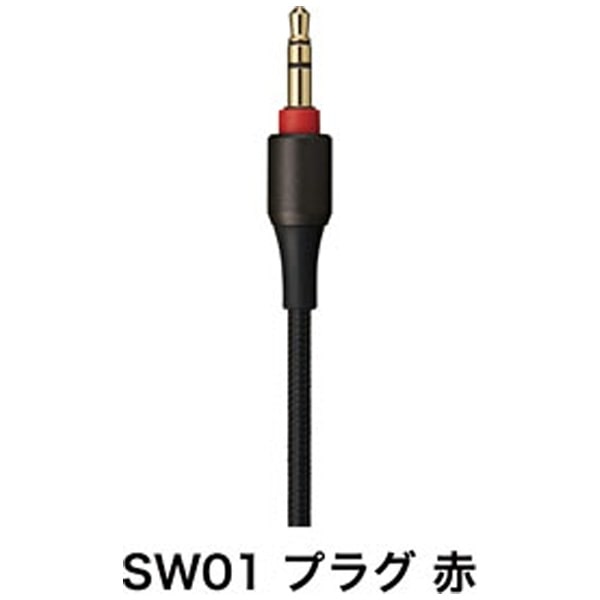 ヘッドホン HA-SW01 [φ3.5mm ミニプラグ][HASW01](ブラック