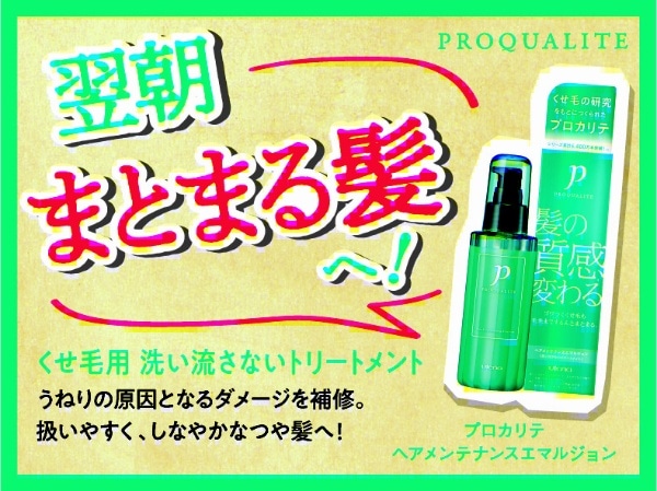 PROQUALITE(プロカリテ) ヘアメンテナンスエマルジョン 110ml