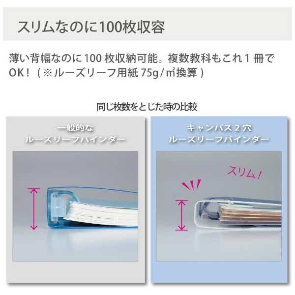 プリントもとじやすい 2穴ルーズリーフバインダー A4 ﾙ-PP158Y