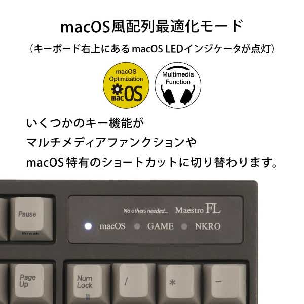 MaestroFL 英語配列 US 青軸 メカニカル フル キーボード USB-A / USB