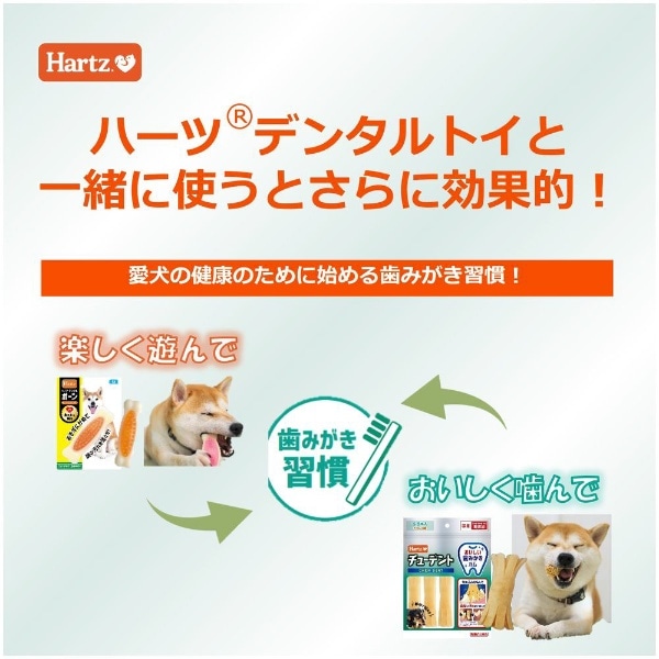 Hartz（ハーツ）チューデント 超小型・小型犬用（10kg未満） 5本入(ﾁｭｰ