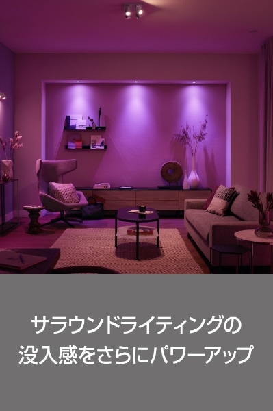 Hue フルカラーシングルランプ 100W E26 Bluetooth+Zigbee(PLH70CL