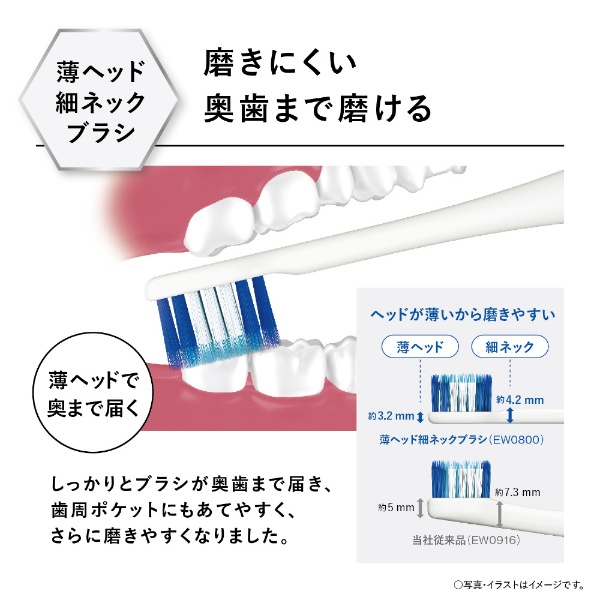 電動歯ブラシ Doltz（ドルツ） ピンク EW-DL38-P [振動式 /AC100V-240V