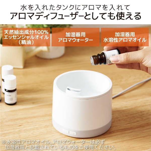 加湿器 USB-A電源 ECLEAR MIST MINI CHIMNEY アロマディフューザー