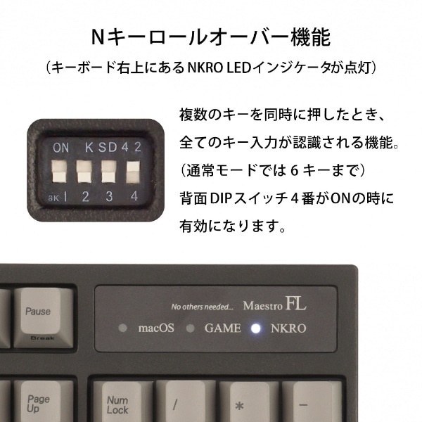 MaestroFL 英語配列 US 青軸 メカニカル フル キーボード USB-A / USB