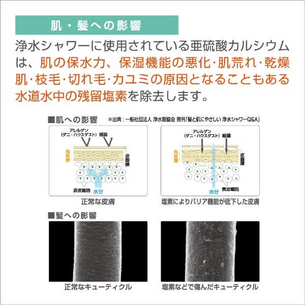 SANEI ウルトラファインバブルサーモシャワー混合栓（寒冷地