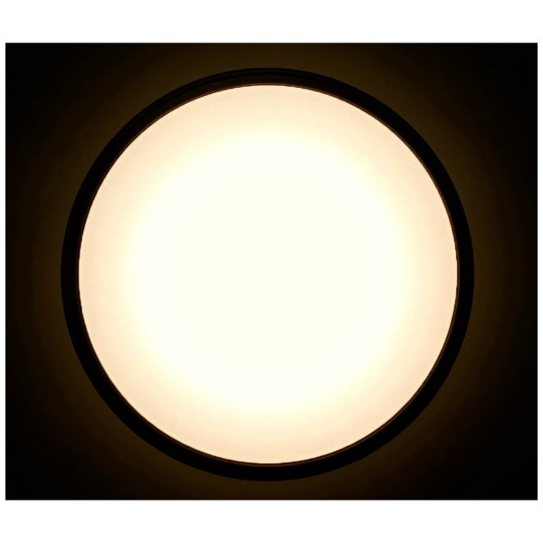 LEDシーリングライト ウッドフレーム CL12DL-5.1MXWFM [12畳 /昼光色