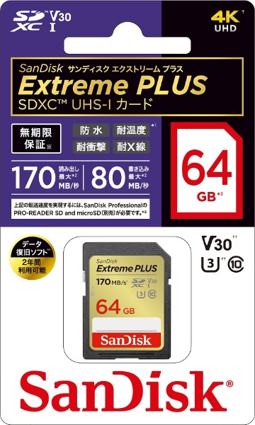 SandiskExtreme SDHC UHS-I SDカード 100枚