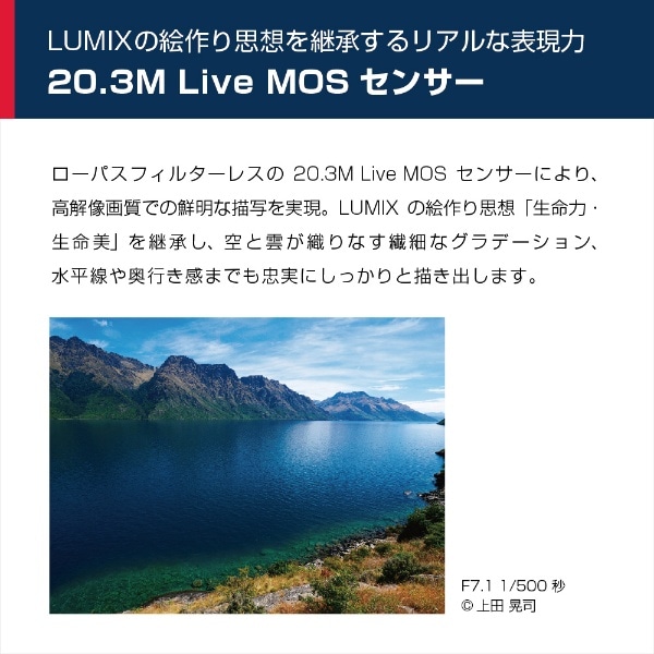 LUMIX G99D ミラーレス一眼カメラ 標準ズームレンズキット ブラック DC